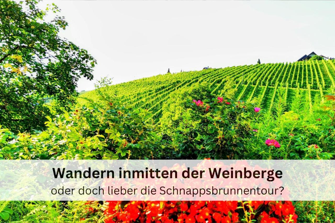Apartment Black Forest - Hirschperle