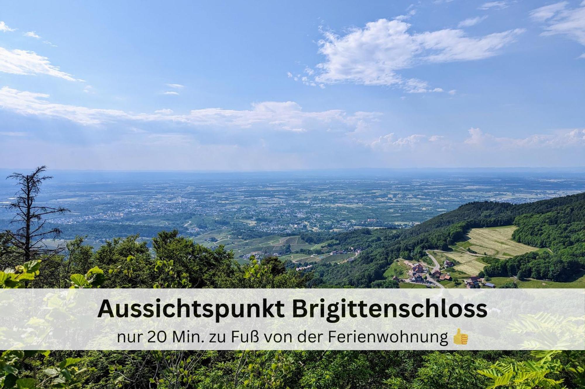 Black Forest - Hirschperle Apartment